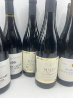 2023 x 3 Paul Henri Lacroix Macon rouge 2019 x 3 Henri de, Nieuw