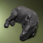 Neushoorn Replica Taxidermie volledige montage -, Nieuw