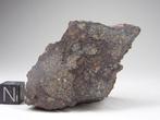 NWA 13284 - Masse principale - H5 Météorite - 108.6 g
