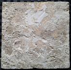 Tegel - Antieke tegel met fruitschaal. - 1600-1650, Antiek en Kunst