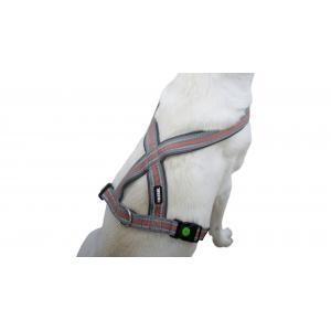 Tuig xenos, gris/rouge, 40-60cm, Animaux & Accessoires, Accessoires pour chiens