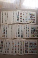 Petits Belges - Année 1955 - 48 Magazines - EO - 1955, Boeken, Nieuw
