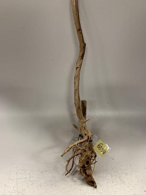 Boutique Stump Selected BS29 - 86x26x14cm (Natuurlijk hout), Dieren en Toebehoren, Vissen | Aquaria en Toebehoren, Plant(en), Steen of Hout