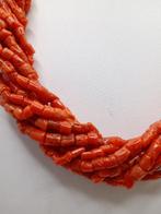 Koraal Koraal - Corallium rubrum rosso