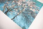 Viet Ha Tran - Almond trees