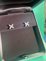 Tiffany & Co. - Boucles doreilles - Victoria Platine -, Handtassen en Accessoires, Oorbellen, Nieuw