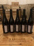 2023 Terenzuola Vermentino Nero - Toscane - 5 Bouteilles, Verzamelen, Nieuw