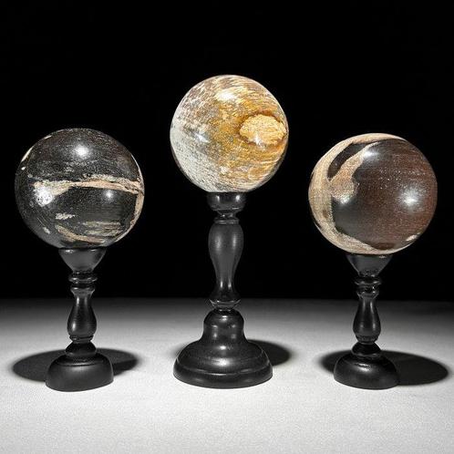 Prachtige set van 3 versteende houten bollen op aangepaste, Antiek en Kunst, Kunst | Designobjecten