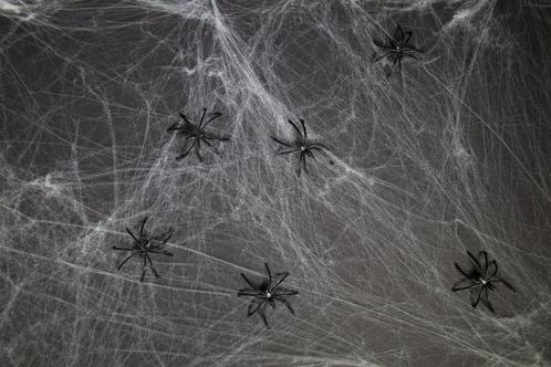 Halloween Spinnenweb 6 Spinnen, Hobby en Vrije tijd, Feestartikelen, Nieuw, Verzenden