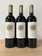 2015 LIf - Saint-Émilion - 3 Flessen (0.75 liter), Collections, Vins