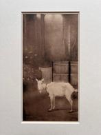 Jan Mankes (1889-1920), after - Originele Ingelijste