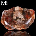 Handgemaakte versteende hout opvangbak - Een tijdloze