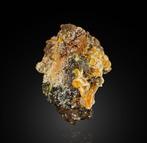 Wulfenite vif avec Endlichite Cristaux sur matrice - Hauteur