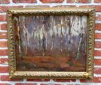 Felix Sauter (1881-1963) - Impressionistisch boszicht te, Antiek en Kunst, Kunst | Schilderijen | Klassiek