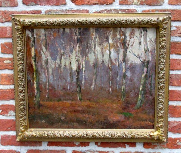 Felix Sauter (1881-1963) - Impressionistisch boszicht te, Antiek en Kunst, Kunst | Schilderijen | Klassiek