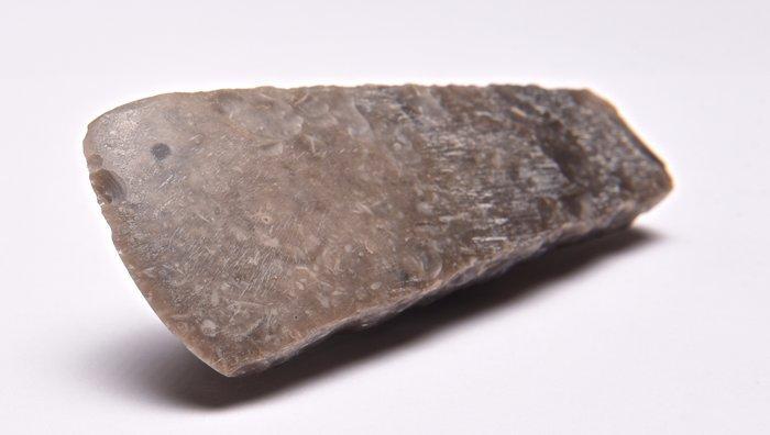 Neolithisch vuursteen Bijl - 131 mm, Antiek en Kunst, Antiek | Overige Antiek