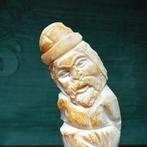 Columella Taxidermie volledige montage - Cassis Tuberosa -