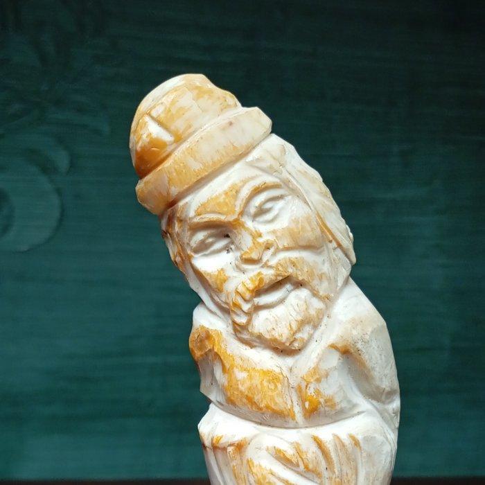 Columella Taxidermie volledige montage - Cassis Tuberosa -, Antiek en Kunst, Curiosa en Brocante