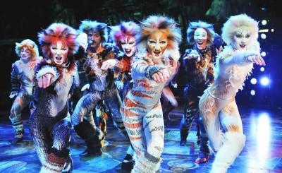 Cats Tickets, Tickets & Billets, Billets & Tickets Autre