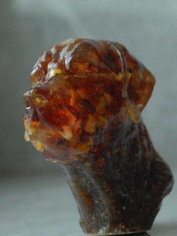 Labrador Retriever bust Baltisch amber hondenbeeldje - 95 g beschikbaar voor biedingen