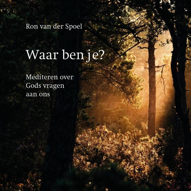 Waar ben je? (9789043539784, Ron van der Spoel), Livres, Livres d'étude & Cours, Envoi