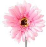 Gerbera Roze Zijdenbloem 50 cm per stuk, Nieuw