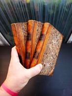 Samuel Taylor Coleridge - 1818 - The Friend: a Series of, Antiquités & Art, Antiquités | Livres & Manuscrits