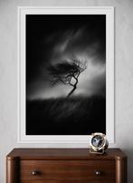 Rudy barret - Silent Persistence - XL