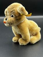 Steiff - Speelgoed Mopsy dog - 1960-1970 - Duitsland