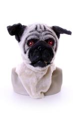 Masker Mopshond Lichtgevende Ogen en Bewegende Mond Pug Hond, Ophalen of Verzenden, Nieuw