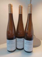 2019 Markus Molitor, Wehlener Sonnenuhr, Riesling Auslese***, Verzamelen, Nieuw