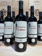 2019 Château Cambon la Pelouse , Monsieur Cambon -, Collections