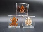 chauve-souris, crapaud, tortue Support de corps entier pour