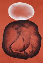 Artur Polar - Idol Nº 44 - XL