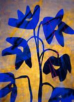 Lupo - Urban Jungle 170 - Real Gold - XXL-NO Reserve