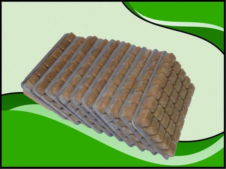 Mysis 10x100 gram diepvriesvoer (Visvoeding), Dieren en Toebehoren, Vissen | Aquaria en Toebehoren, Nieuw, Verzenden