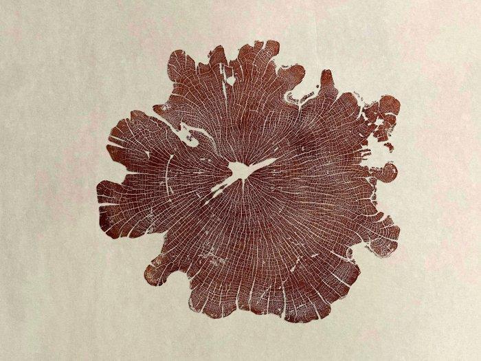 Natali Wood - Almendro Tierra, Antiquités & Art, Art | Objets design