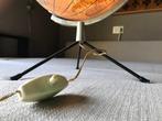 Terrestrial table globe - 1950-1960 - Laboratorio Italiano, Antiek en Kunst