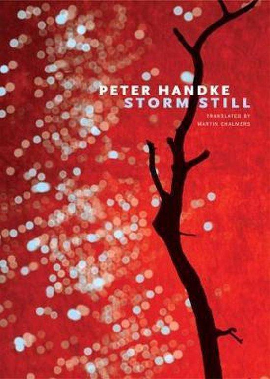 Storm Still 9780857425584 Peter Handke, Boeken, Taal | Engels, Zo goed als nieuw, Verzenden