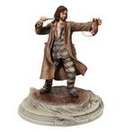 Harry Potter Sirius Black Prisoner 23 cm, Ophalen of Verzenden, Nieuw