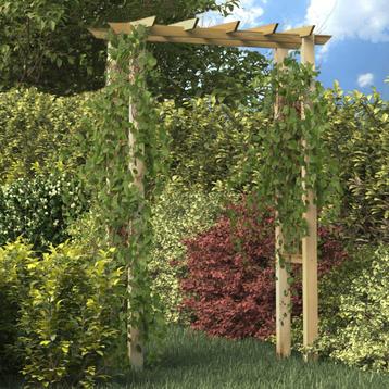 vidaXL Rozenboog 150x60x204 cm geïmpregneerd hout, Verzenden