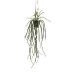 Kunstplant - Rhypsalis - Koraalcactus - 85 cm, Nieuw