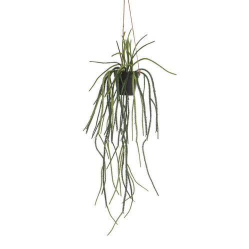 Kunstplant - Rhypsalis - Koraalcactus - 85 cm, Huis en Inrichting, Woonaccessoires | Kunstplanten en Kunstbloemen