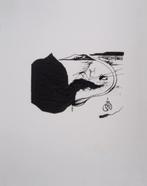 Salvador Dali (1904-1989) - Girafe en feu et route du