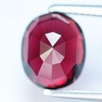 1 pcs Rood, Paars Rhodoliet - 6.04 ct - nternational Colored, Nieuw