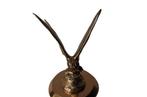 M. Bertin - Sculpture, Art deco bronzen libelle / dragonfly, Antiek en Kunst