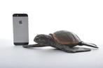 sculptuur, Turtle crawling - 22 cm - Gepatineerd brons