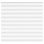 vidaXL Zebra Blind 165x100 cm stofbreedte 160,9 cm polyester, Verzenden, Nieuw