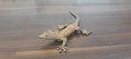 Pierre Chenet (XX-XXI) - sculptuur, Le Lézard - 1 cm - Brons