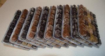 Diepvriesvoeding Tropical Mix Quintet 10x 100 gram beschikbaar voor biedingen